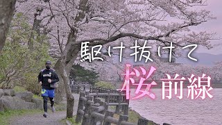 【岩手】疾走！お花見ランニング／一関～盛岡