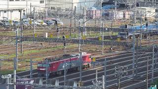 EF210315桃太郎、隅田川貨物駅74レ発車　R2 6 23