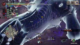 몬헌 라이즈 고어 마가 첫 토벌 / MH RSB Gore Magala No commentary