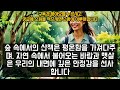 신님이 점지해주신 1156회차 로또1등 당첨번호 예측 적중률 95% 저번주 나오셨습니다