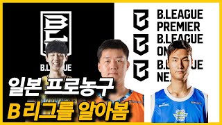 [일본생활] 일본 프로농구 B리그에 대해서