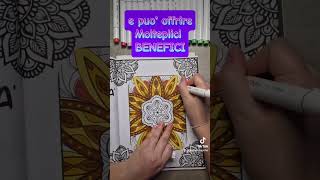 Coloriamo un Mandala Motivazionale | Relax e Benessere