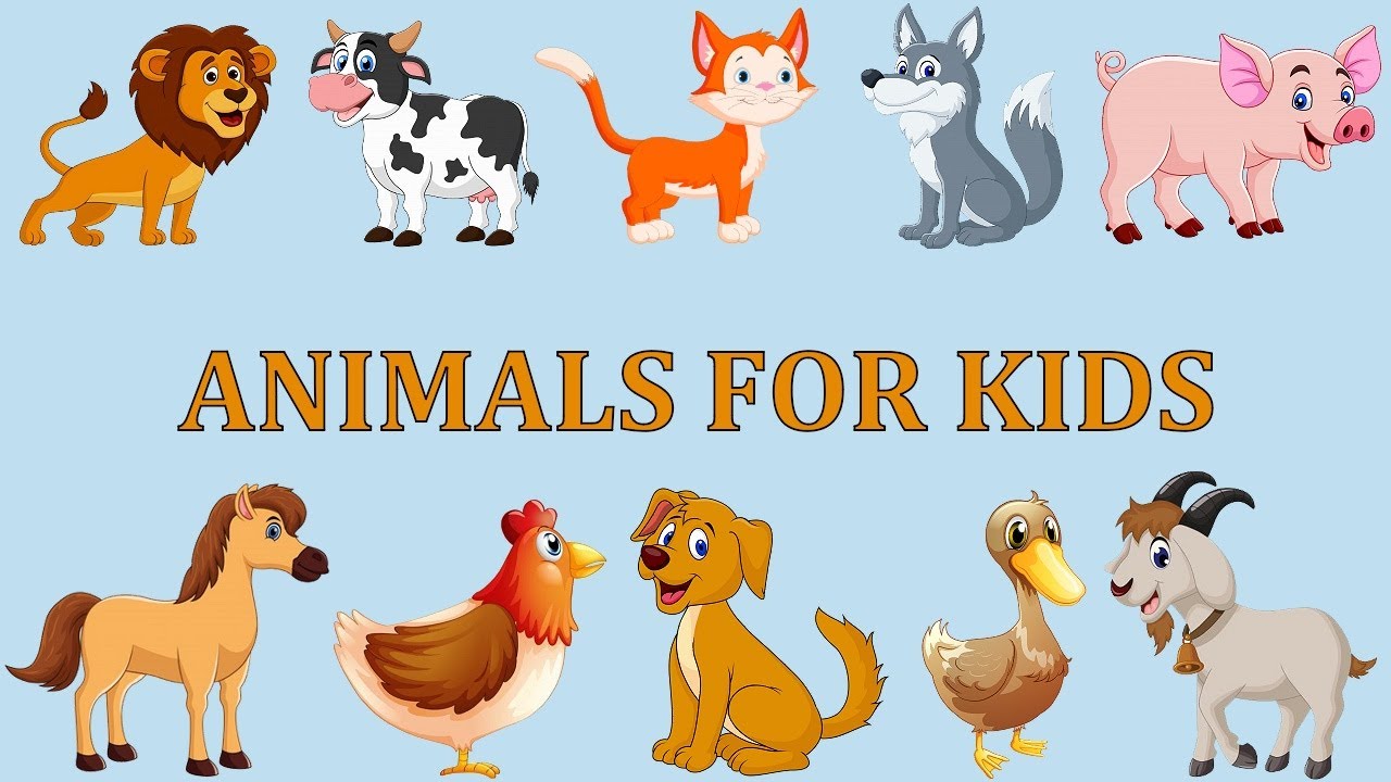 Animals for kids. Animal Sounds in English. Asia animals for Kids. Favourite Songs Baby animals.