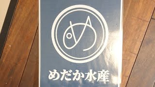 30分配信！日本さかな検定(ととけん)に挑戦