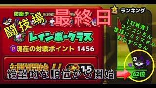 【ぼくとネコ】闘技場　レインボークラス　9/29最終日　絶望的な順位から開始！！