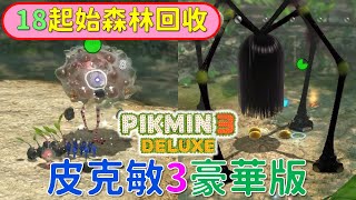 Switch皮克敏3豪華版 PIKMIN3 DELUXE_18森林敵人對決~起始森林水果回收完畢!!