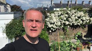 Ifor ap Glyn