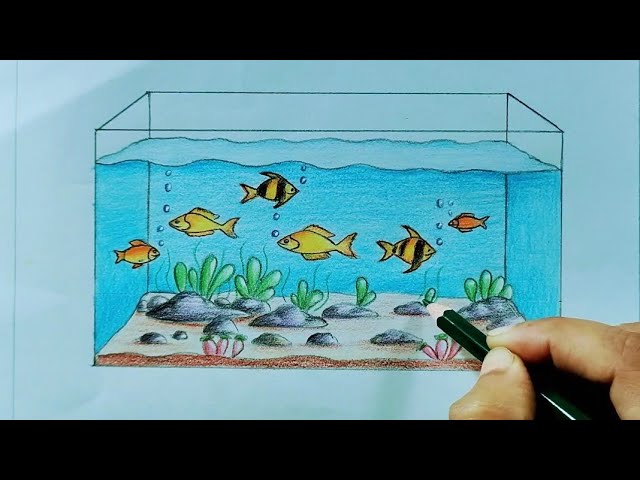 Fish Tank Drawing Ideas Infoupdate Org
