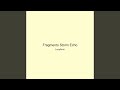 Fragments Storm Echo