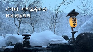 8박9일 도쿄-니가타여행 브이로그 | 카이카케 온센 | 7-9일차(니가타 → 에치고유자와, 료칸 / 키요츠협곡 / 에치고유자와 → 도쿄, 고쿄히가시교엔, NRT → SIN)