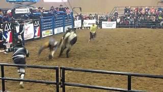 Cody Ford 89 pts on 400 VJV Slash (WV) Ponoka NYE PBR Canada 2011