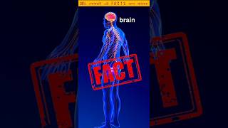 মানুষের শরীর সম্পর্কে কিছু অজানা তথ্য 😮||  Facts About Human Body || ARFAN FACTS BD || #shorts