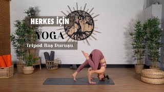 Yoga 🌸 Herkes için Yoga- Tripod Baş duruşu 💜