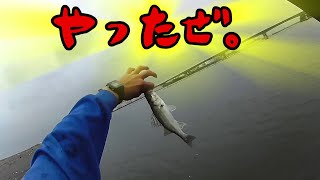 【ライトゲーム】相模川で釣りしてきました PART4