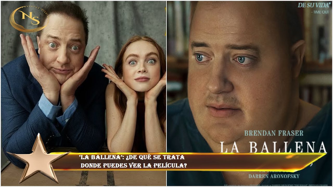 ‘La Ballena’: ¿De Qué Se Trata Donde Puedes Ver La Película? - YouTube