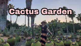 Namasyal sa Cactus Garden