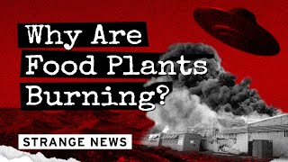 Why Are Food Plants Burning?