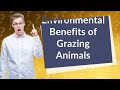 How Does Grazing Animals Benefit the Environment in Regenerative Agriculture?