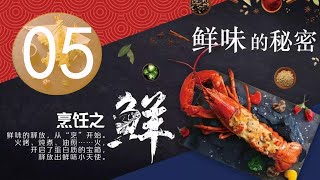 《鲜味的秘密》05：鲜之精华