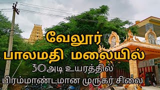 #பாலமதி மலையில் 30 அடி முருகர் வேலூர் | குழந்தை வேலாயுதபாணி திருக்கோவில் | BALAMATHIE HILLS #VELLORE