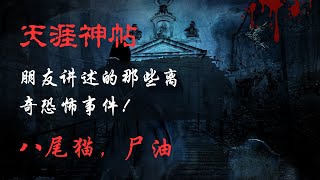 【天涯神贴】【莲蓬鬼话】——八尾猫，尸油，朋友讲述的那些离奇恐怖事件！