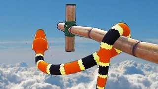 CRAZY SLITHER IN 3D!? (Snake Pass)
