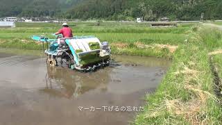 毎年苦労する圃場2019年6月3日