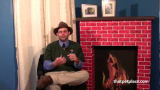 Get a Dog License - Pet Tip of the Day with Dr. Bryan Langlois