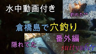 釣り人目線の水中動画　穴釣り編　倉橋島