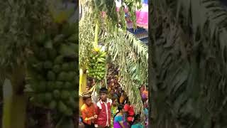 paththirakali amman kovil kodai alangulam