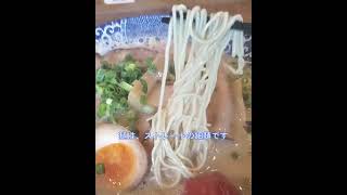 『鶴亀堂 天白平針店』～博多ラーメン全部のせ ～