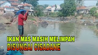 STRIKE DISAAT SUNGAI CISADANE SEDANG SURUT ❗MANCING MANIA