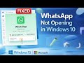 How To Fix WhatsApp Not Opening in Windows 10 (Working FIX)