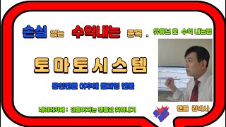 토마토시스템 - 단순하지만 강력한 매매법