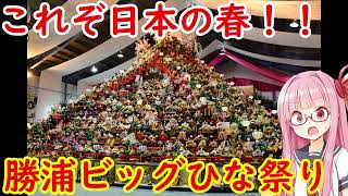 ビッグひな祭りを楽しむ【「ニコ旅フェス2024春：春」参加動画】Enjoy the Big Hinamatsuri(Doll's Festival)