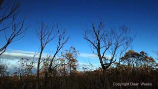 Tasmanian bushfire 2016