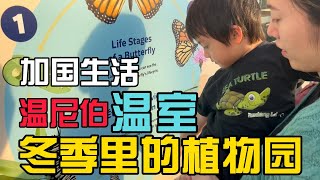 加国生活14: 寒冷温尼伯的温室植物园，感觉一下拉回到了马来西亚 #加拿大 #温尼伯 #海外生活 #移民 #遛娃 #植物园