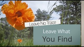 Leave No Trace - Leave What You Find