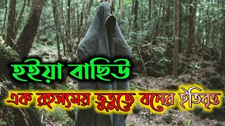 হইয়া বাছিউ এক রহস্যময় ভূতুড়ে বনের ইতিবৃত্ত | Hoia Baciu most haunted forest| hoia baciu in bengali