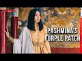 Pashmina’s Purple Patch