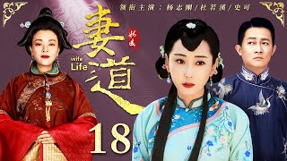 【好看的电视剧】妻道 18 | 六门妻妾明争暗斗，杜若溪演绎宅门望族的为妻之道（杜若溪 / 史可 / 杨志刚 / 张少华）