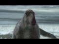 Nanuqsaurus - The Tyrannosaur at the Top of the World Trailer | Epoch Now