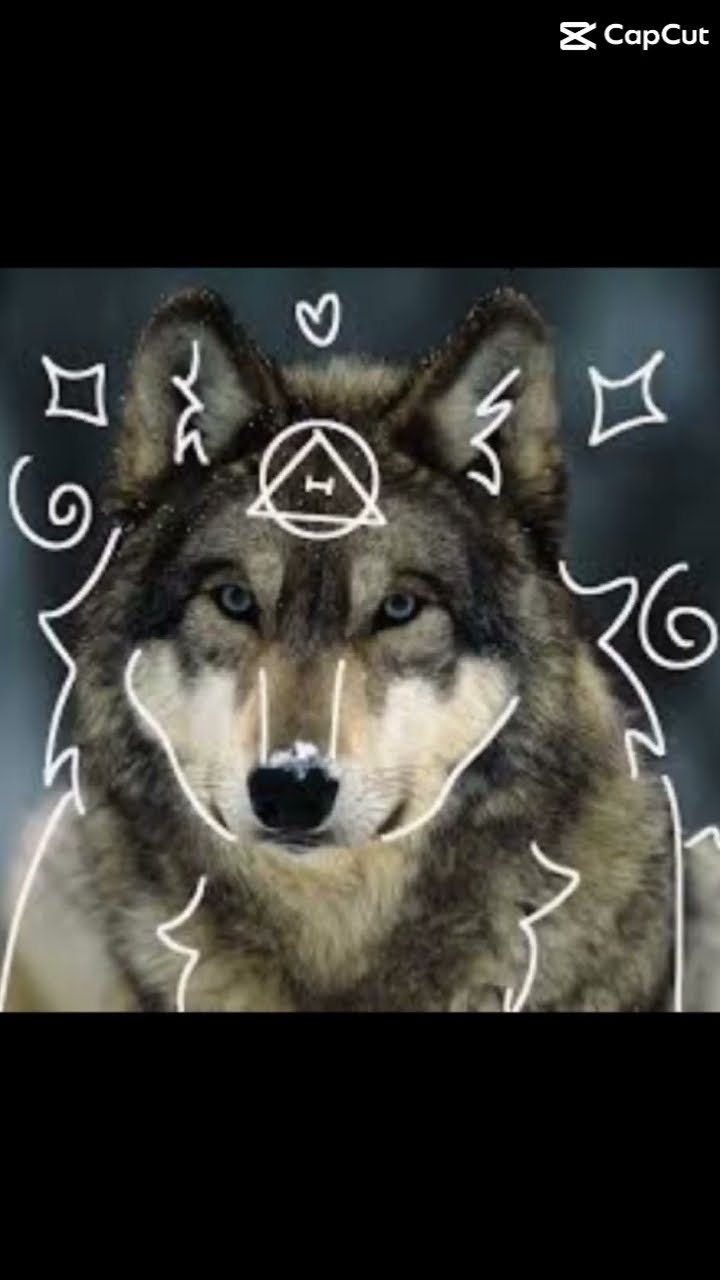 Therian Edit Youtube