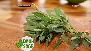 Berbagai Manfaat Daun Sage Bagi Tubuh