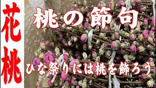 【花桃】お花の仕入れ  「お花屋」 と言うか 「仲卸」です。  花を必要とするすべての方どうぞお越しください。