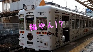 【ほぼ猫♪】かわいい電車！和歌山電鐵貴志川線「たま電車」