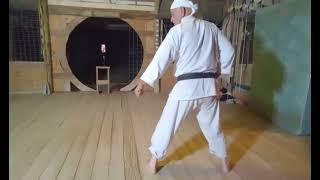 Video # 235 Wansu with  counting demonstrated by Sensei Nick Flores