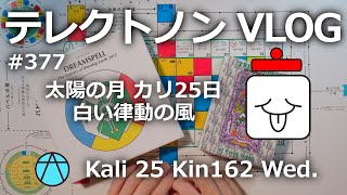 【テレクトノンVLOG】377・TELEKTONON 9.25・太陽の月・Kali カリ25日・白い律動の風・Kin162・白い倍音の魔法使いの年 #新しい時間のチャンネル