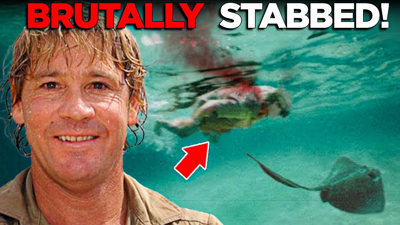Tombe De Steve Irwin