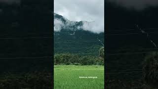 📍Seetharkund Foothill Viewpoint Kollengode, Palakkad..#kollengode #muthalamada #nemmara